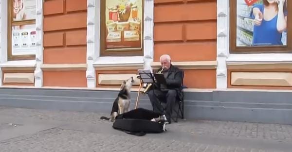 Street Musician Joined by a Singing Stray Dog, Promptly Adopts Him