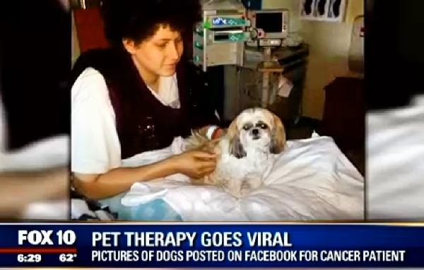 GONE VIRAL: Hundreds of Thousands of People Send Cancer Patient Pictures of Their Dog To Cheer Him Up