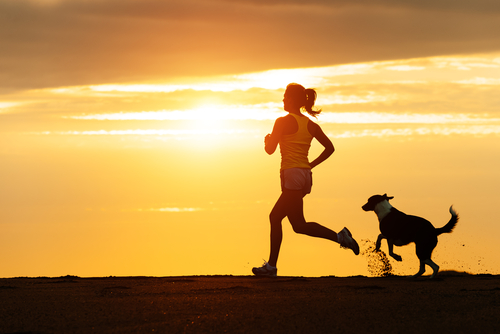 Why Dogs Make Great Workout Buddies!