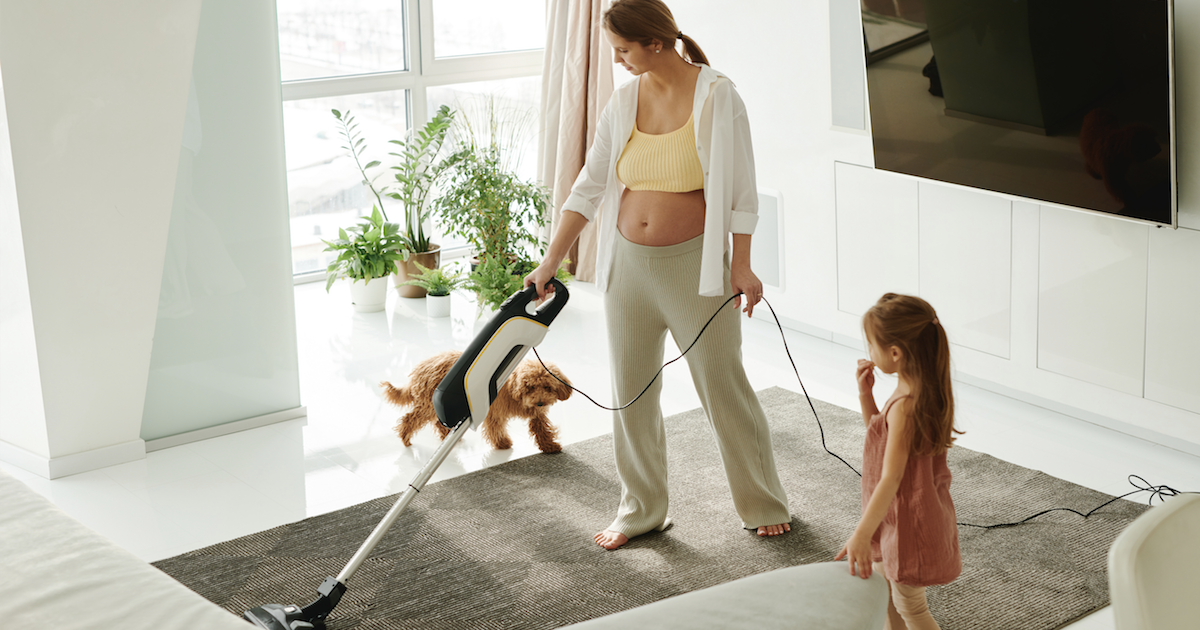 Training dog to stop attacking vacuum