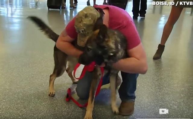 Army Dog Races Into The Arms Of His Soldier After 3 Long Years Apart