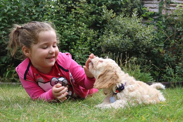 Humans So In Sync With Their Dogs, They Share Emotions