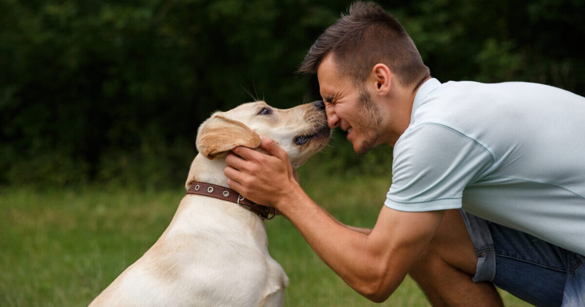 20 Dog Breeds That Give The Most Kisses