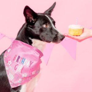 Birthday Girl Bandana