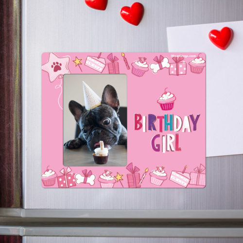 Birthday Girl Picture Frame Magnet - Super Deal $.09  ( Limited 1 Per Customer)