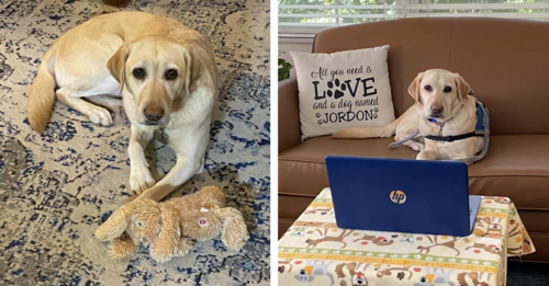 Therapy Dog Virtually Supports Neglected Kids During COVID-19