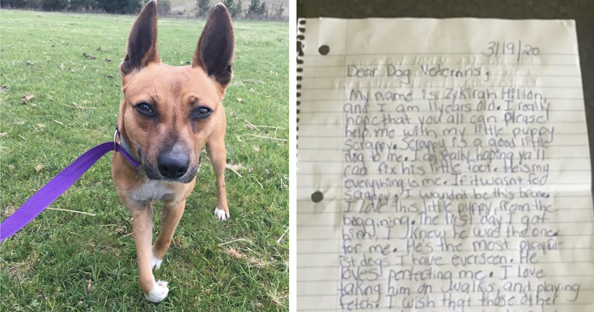 Veterinarian Gets Heartfelt Note Begging Her To Save Dog's Life