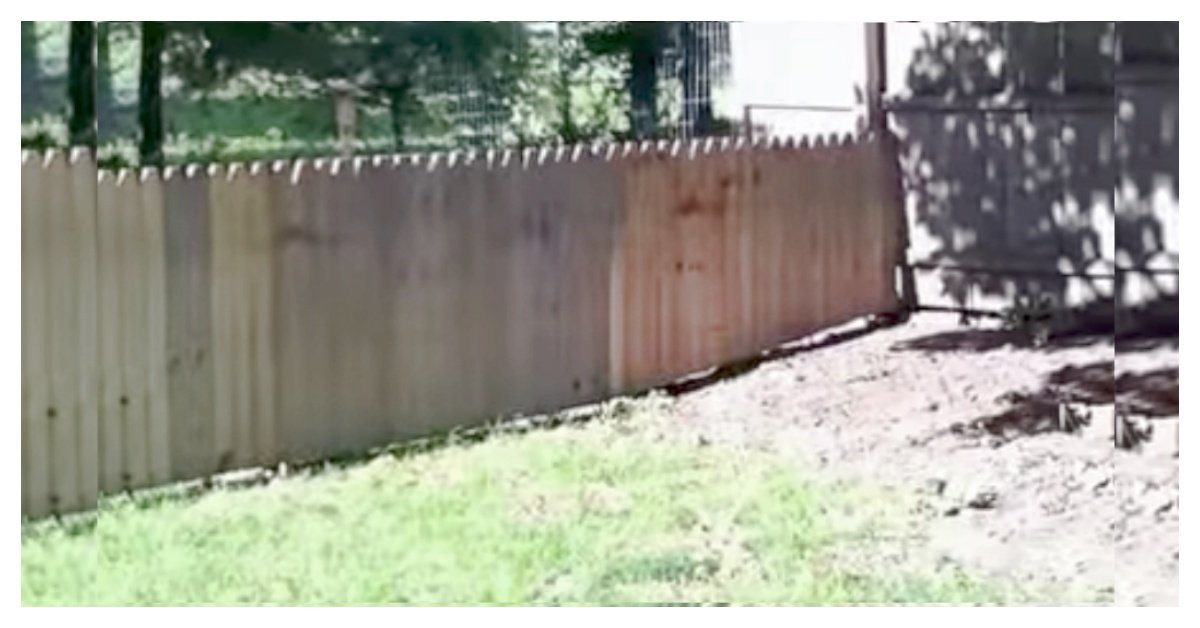 Dad Proudly Built A Fence To Protect His Dog, Dog Hilariously 'Tested-It' Out