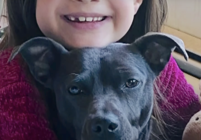 Dog with little girl