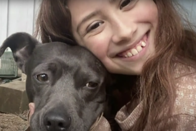 Girl cuddling Pit Bull