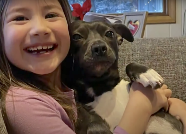 Young girl holding dog