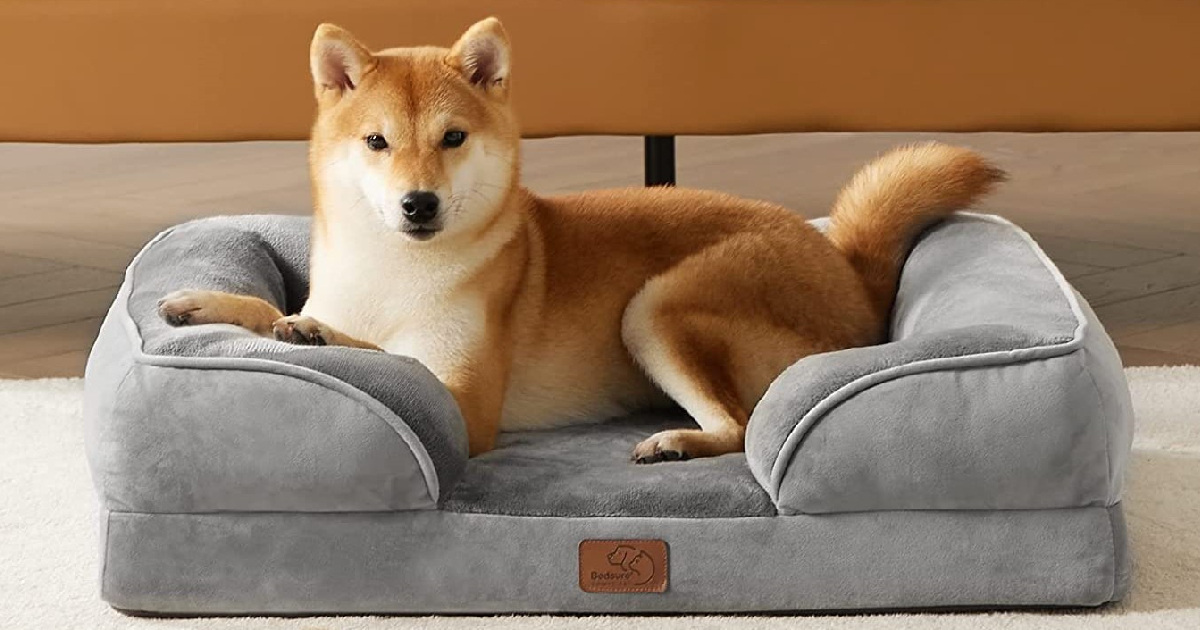 BedSure Orthopedic Dog Bed Review 2024