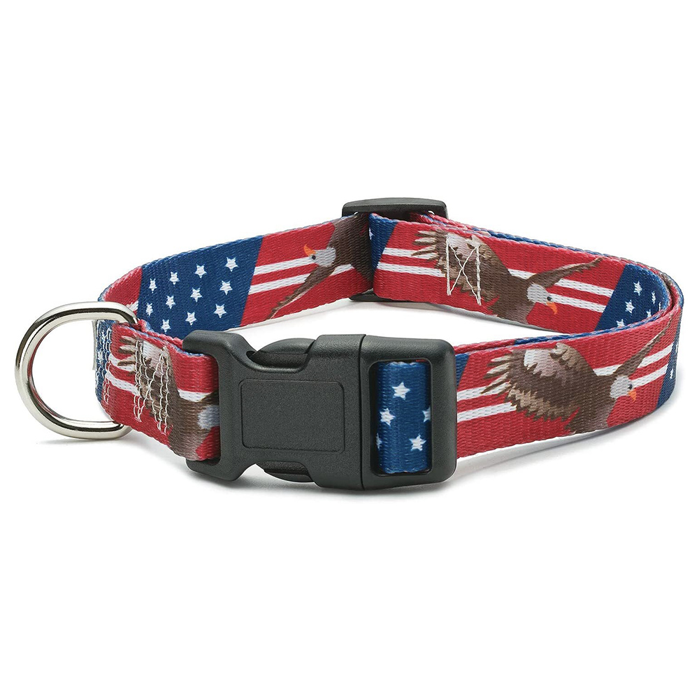 American Flag and Bald Eagle Dog Collar (only available in Med and Small)