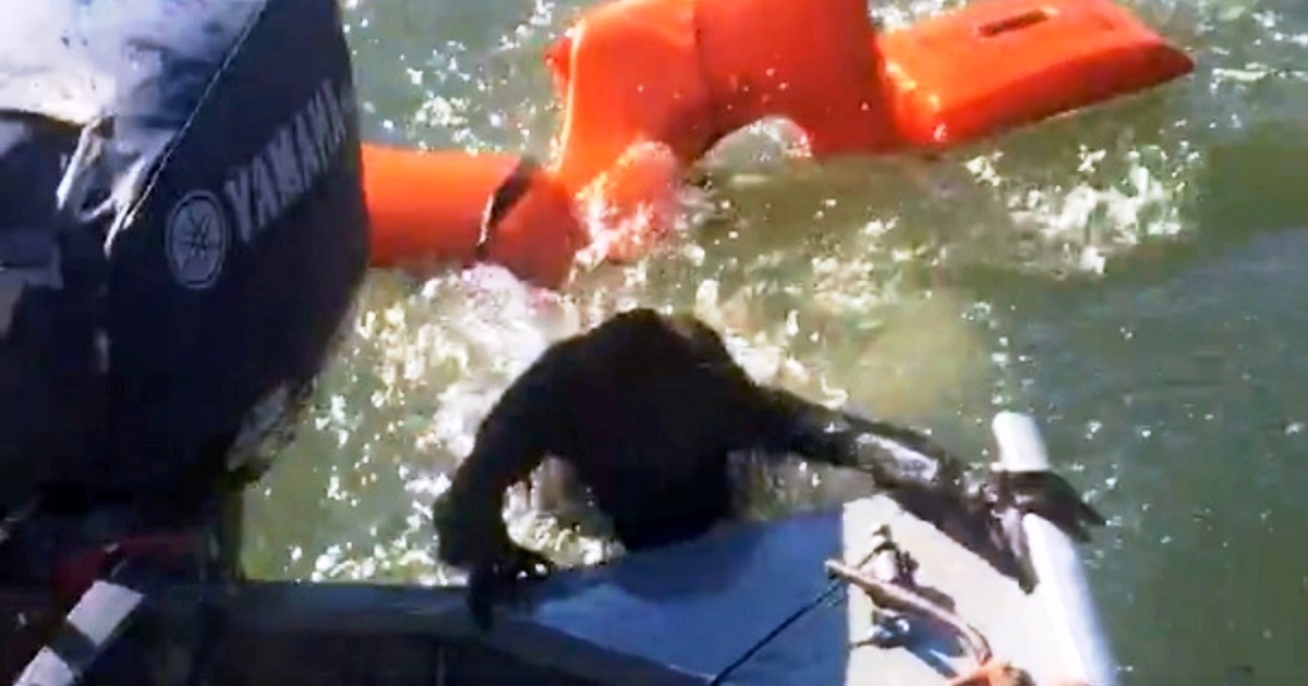 Fisherman Throws Life-Jacket To Save Drowning Dog But It’s 'Not-A-Dog' At All