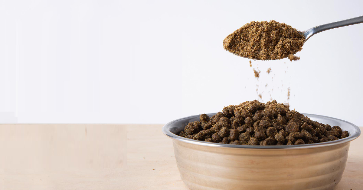 The 15 Best Dog Food Toppers [2024]