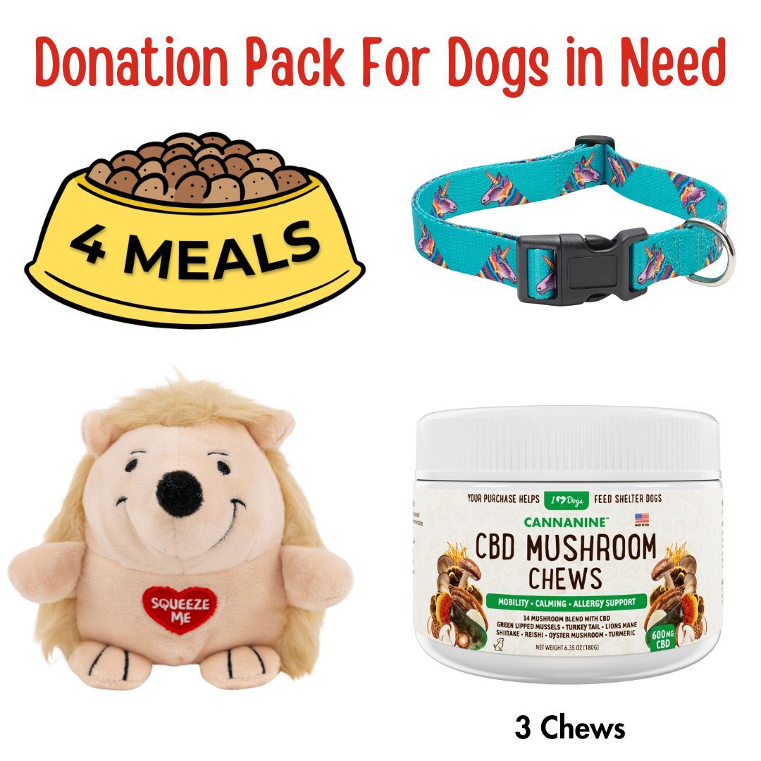 Name A Dog - Dallas Dog Rescue  - Donate 1 Plush Hedgehog Ball, 1 Dog Collar, 3 Hemp Mushroom Chews & 4 Meals For Dogs in Need for $15