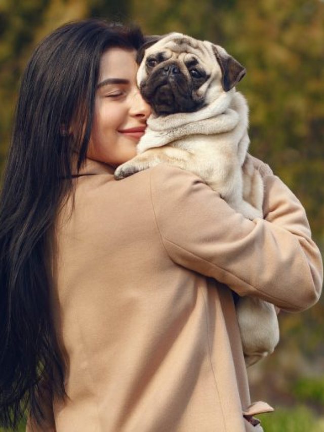 12 Dog Breeds That Form Inseparable Bonds with Their Owners