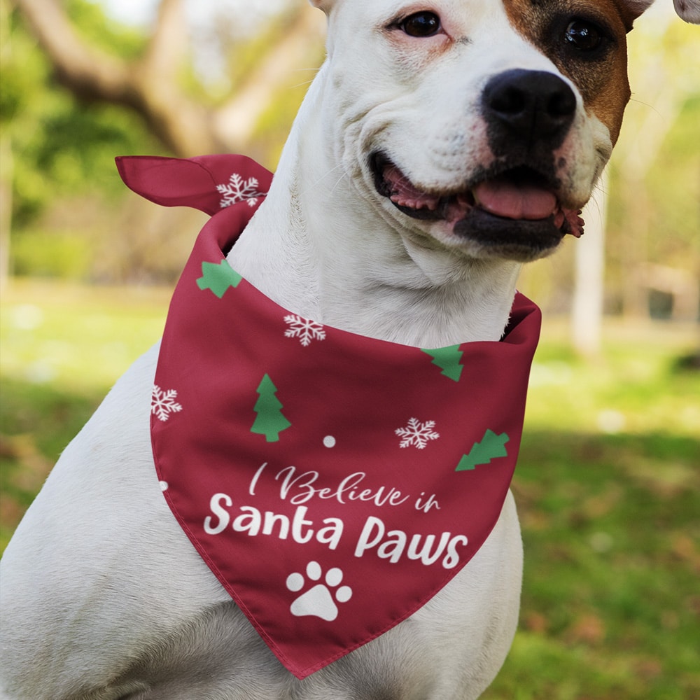 I Believe In Santa Paws Dog Bandana (Large Size) : Helping Feed Hungry Dogs In Need