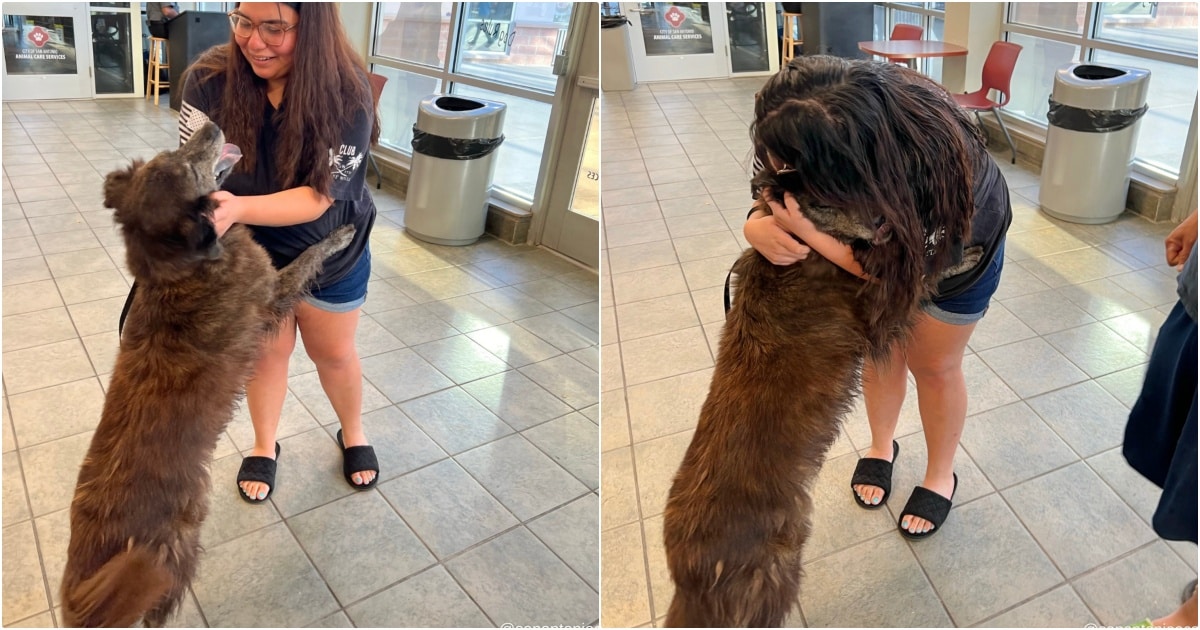 Staff Chokes Back Tears When Missing Dog Runs To Hug Mom